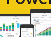 Similarities Differences Between Power SSRS