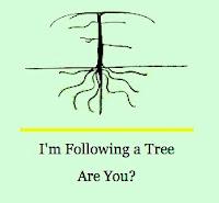 Tree-following Therapy