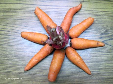 Eat Carrot .. .. See well !! - read (my posts) well !!! Eat Carrot .. .. See well !! - read (my posts) well !!!