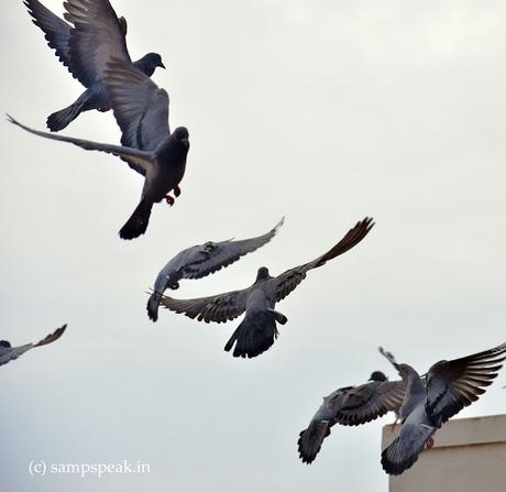 Life race - it is not about outsmarting others !!