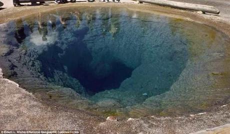 Fading glory of Yellow stone Park ~ luck coins spoilt ...