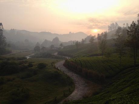 munnar-kerala