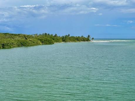 beautiful-natural-lagoon-in-quintana-roo-mexico