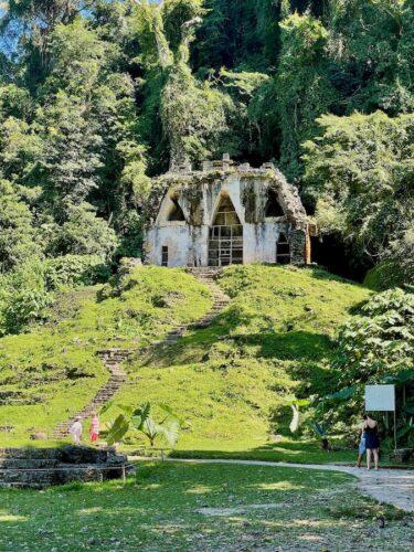 palenque-ruins-surrounded-by-thick-jungle