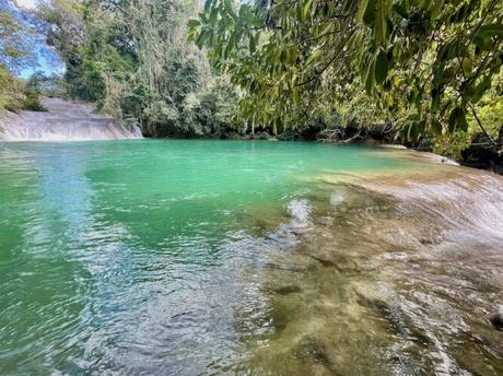 turquoise-green-natural-swimming-pool