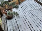 White Stuff Heart-Warming News