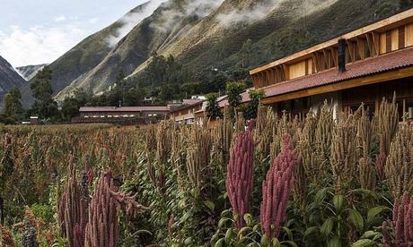 Our Favorite Sustainable Hotels From Across The World