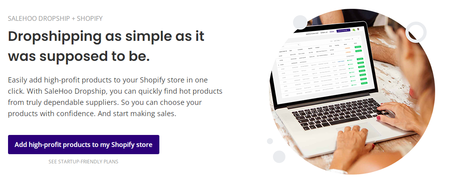 Salehoo Dropshipping