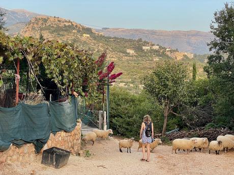 walking-near-livadhi-beach-himare