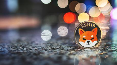 NFT Marketplace for Shibarium is in the works for the Shiba Inu