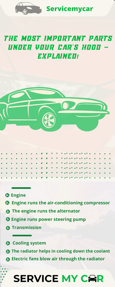 The Most Important Parts Under Your Car’s Hood – Explained! The Most Important Parts Under Your Car’s Hood – Explained!