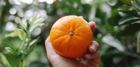 5 Health benefits of clementine fruit
