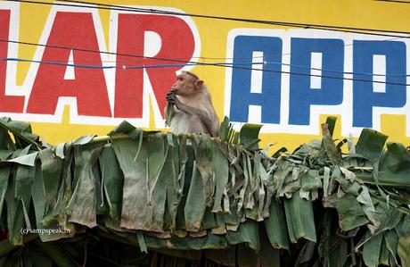 weather predictions - what the monk thinks !! weather predictions - what the monk thinks !!