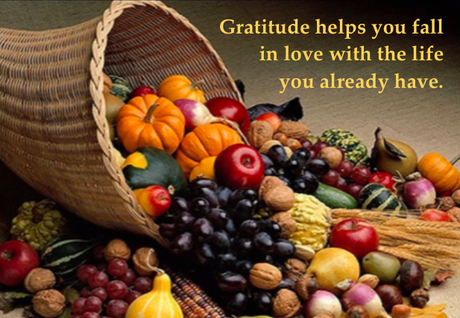 Relieve the Stress and Feel the Gratitude this #Thanksgiving; Get your FREE copy of The Chakra Energy Diet