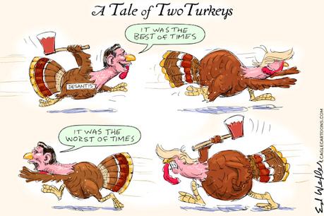 Turkeys