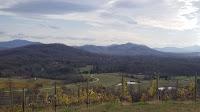 Enjoy Beer, Wine, and Scenic Views from Hazy Mountain Vineyards & Brewery