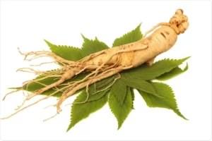 Best herbs to ease menopause symptoms