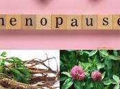 Best Herbs Ease Menopause Symptoms