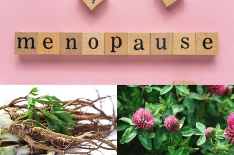 Best herbs to ease menopause symptoms