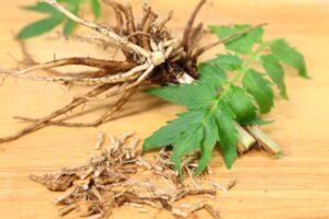 Best herbs to ease menopause symptoms