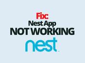 Fix: Nest Working