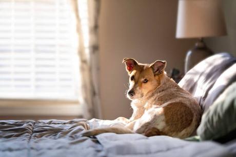 It Was Made Obvious It Was Made Obvious