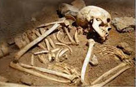 Sack filled with skull, bones found in Udayarkattu