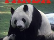 XIN, Star Book PANDA: Last Panda Mexico City