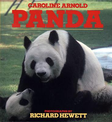 XIN XIN, Star of my book PANDA: The Last Panda at the Mexico City Zoo
