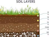 Calculate Much Topsoil Need