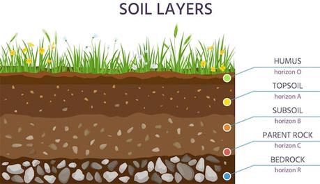 How to Calculate How Much Topsoil You Need