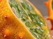 Horned Melon (kiwano): Health Benefits, Nutrition This Nutritious Fruit