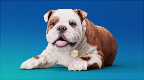 Winston Churchill - Bengal famine !  -  dog as mascot !!