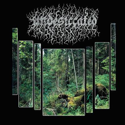 Undesiccated - Epiphytic