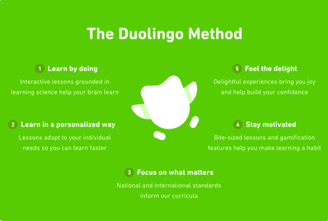 What The Duolingo Lessons Are Like