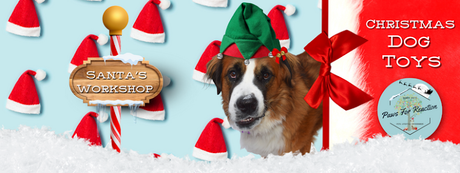 Dog Training Manager Darris Cooper Saint Bernese Christmas dog toys  Petco holiday dog gift guide