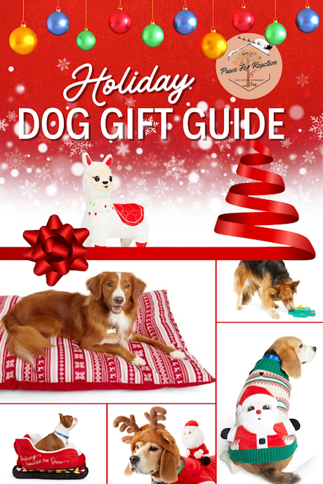 Petco Holiday Dog Gift Guide: Dog Trainer Darris Cooper shares holiday pet safety tips & best dog products