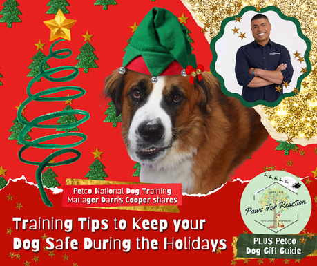 Petco Holiday Dog Gift Guide: Dog Trainer Darris Cooper shares holiday pet safety tips & best dog products