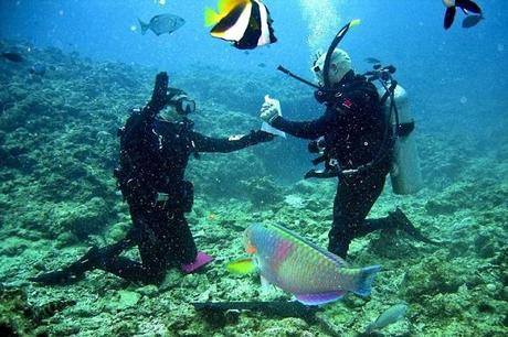 Ten of The Worlds Best Places To Go Scuba Diving