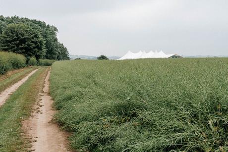 Things to consider when hiring a wedding marquee