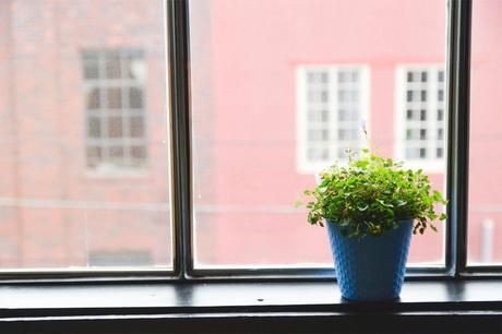 How to Keep Your Windows Clean for Longer