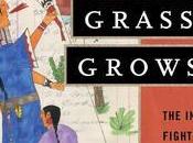 Long Grass Grows #BookReview #WeNeedDiverseBooks #DiversityRC2022
