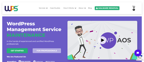 WP AOS  WordPress services