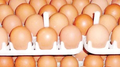 No egg shortage  in the country – ACEPA