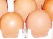 Shortage Country ACEPA