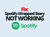 Fix: Spotify Wrapped Story Working