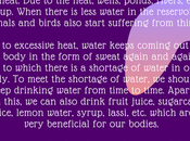 Download Favourite Season Summer Essay