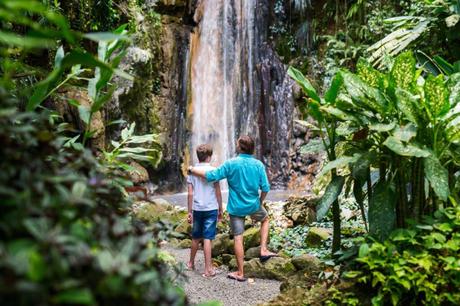 Visit St. Lucia If You Love Nature