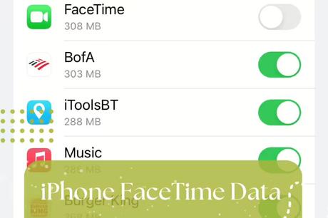 Can I use FaceTime over Wi-Fi on iPhone 13 only?