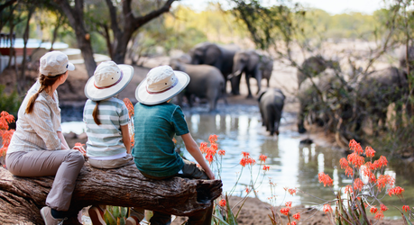 Top Safari Experiences In Okavango Delta